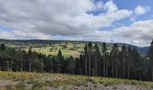 Tour Wandern Chalmazel-Jeansagnière - Au dessus de Chalmazel  - Photo 3