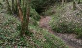 Trail Walking Sauveterre-de-Guyenne - sauveterre de g - Photo 1