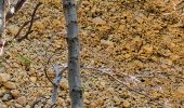 Trail Walking La Ciotat - Trail Walking La Ciotat -