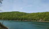 Trail Walking Stavelot - Coo Tour lac - Photo 12