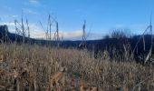 Trail Walking Libin - laisse la lesse  - Photo 14