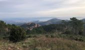 Tocht Stappen Saint-Raphaël - Les grues et le Mont St Martin depuis le col Notre Dame - Photo 19