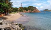 Trail Walking Terre-de-Haut - Les Saintes - J2 - Photo 9