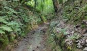 Trail Walking Incourt - Sart Risbart (Incourt) - Photo 16