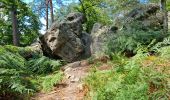 Tocht Stappen Fontainebleau - Fontainebleau Sentier Denecourt 1 prolongé - Photo 7