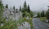 Excursión Senderismo Passy - J10 - R8 - Plaine Joux - Les Ayères - Lac Vert  - Photo 14