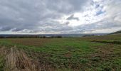 Trail Walking Oissel - 20231128-les essarts cool - Photo 1