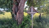 Tour Wandern Vielsalm - fraiture - plateau des tailles  - Photo 1