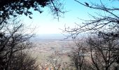 Tocht Stappen Eguisheim - marbach osenburh schauenberg marbach - Photo 6