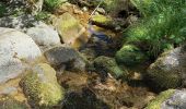 Trail Walking Pont de Montvert - Sud Mont Lozère - Finiels/ sommet / station du Bleymard en boucle - Photo 1