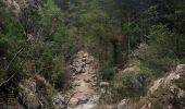 Trail Walking Estoublon - Trevans les gorges - Photo 2