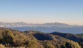 Excursión Senderismo Ensuès-la-Redonne - Vallon du Perussier Vigie Côte Bleue  - Photo 1