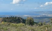 Trail Walking Saint-Raphaël - autour de Roussiveau - Photo 14