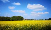 Tour Zu Fuß Witten - Herrenholz Rundweg A2 - Photo 5