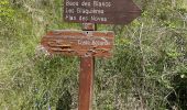 Tour Wandern Vence - Blaquiere - Photo 1