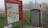 Tocht Te voet Eisenheim - Eisenheimer Bildstockweg - Photo 4