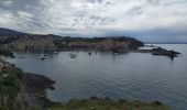 Trail Walking Port-Vendres - sentier du littoral Catalan - Photo 8