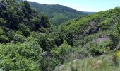 Trail Walking Aumessas - Aumessas-27-05-21 - Photo 2