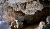 Excursión Senderismo Saint-Zacharie - NSB2-SourceHuveaune-301024 - Photo 1