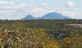 Tour Wandern Seillons-Source-d'Argens - SEILLONS SUR ARGENS - SOURCE DE L'ARGENS - Photo 7