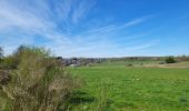 Tour Wandern Gedinne - Willerzie 190425 - Photo 2