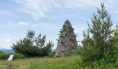 Tour Wandern Saint-Andéol-de-Fourchades - Boucle de la ferme de Bourdalier à Sagnes-et-Gourdoulet - Photo 3