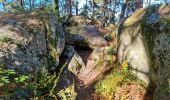 Tocht Stappen Fontainebleau - Sentier Denecourt 3 - Photo 9