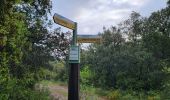Percorso Marcia Trans-en-Provence - Le vallon du Rousset et le vallon des Prouits - Photo 13