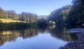 Tocht Stappen Bouillon - Rocher du pendu  - Photo 7