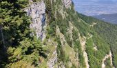 Tocht Stappen Autrans-Méaudre en Vercors - la Buffe - Photo 3