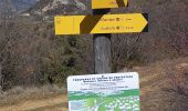 Trail Walking Digne-les-Bains - Rando Col de Peipin Courbons - Photo 14