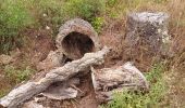 Randonnée Marche Saint-Raphaël - Menhir de Peyronne - Menhir des Veyssieres  par les Ferrières - Photo 11