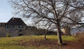 Tour Wandern Sankt Pilt - St Hippolyte - Bergheim - château Reichenberg - Photo 20