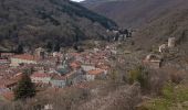 Randonnée Marche Blesle - Les orgues de Chadecol - BLESLE - Photo 2