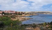 Tour Wandern Għajnsielem - MALTE 2024 / 04 COMINO ISLAND - Photo 16