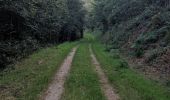 Trail Trail Arfons - raf ballade - Photo 6