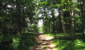Randonnée Marche Rethondes - en forêt de Laigue_8_06_2020_les Routes des Bonshommes, de la Trouée des Bonhommes_Route forestière de Sainte-Croix - Photo 8