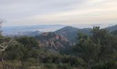 Tour Wandern Saint-Raphaël - Les grues et le Mont St Martin depuis le col Notre Dame - Photo 17