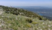 Tour Wandern Saint-Antonin-sur-Bayon - 20220512 la Sainte Victoire - Photo 9