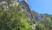 Excursión Senderismo Tournemire - Tournemire - Cirque de Brias et sentier des échelles depuis Roquefort - Photo 19