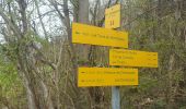 Trail Walking La Trinité - Les Tours de Montmayeur au départ de la Trinité via col de Cochette - Photo 5