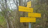 Excursión Senderismo La Trinité - Les Tours de Montmayeur au départ de la Trinité via col de Cochette - Photo 5