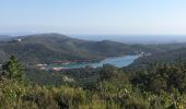 Randonnée Marche La Londe-les-Maures - Les barrages de la Londe - Photo 1