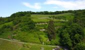 Tour Zu Fuß Schriesheim - Rundwanderweg Schriesheim 5: Branichweg - Photo 6