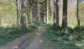 Tocht Stappen Anderlues - BE-Anderlues - Le Bois du Baron - Tour des Etangs - Photo 5