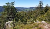 Excursión Senderismo Sainte-Marie-aux-Mines - Col des Bagenelles et les deux Brézouard - Photo 12