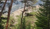 Trail Walking Val-Cenis - Bramans/fort de l'Esseillon - Photo 11