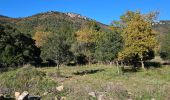 Trail Walking Cuers - Sous les barres de Cuers en partant de La Foux - Photo 14