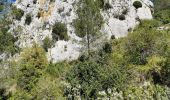 Tour Wandern Roquefort-des-Corbières - Roquefort des Corbières Jean 17.04.22 - Photo 2