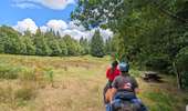 Trail Horseback riding Turquestein-Blancrupt - suuntoapp-HorsebackRiding-2025-08-31T06-50-03Z - Photo 5